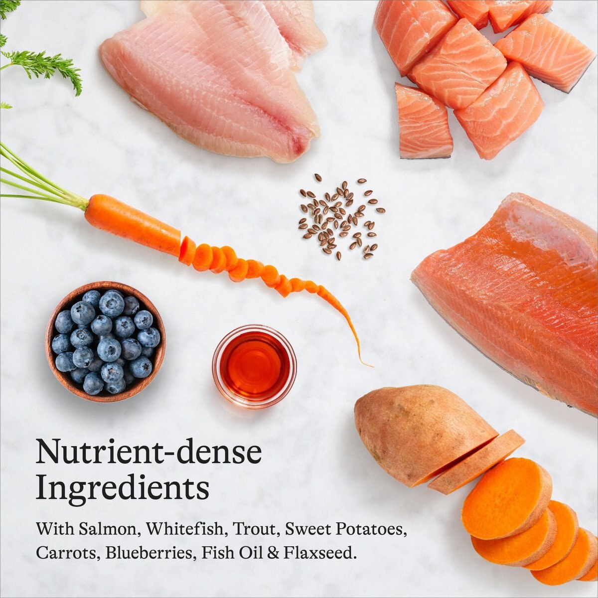 AMERICAN JOURNEY GrainFree with Salmon, Whitefish & Trout Dry Dog Food