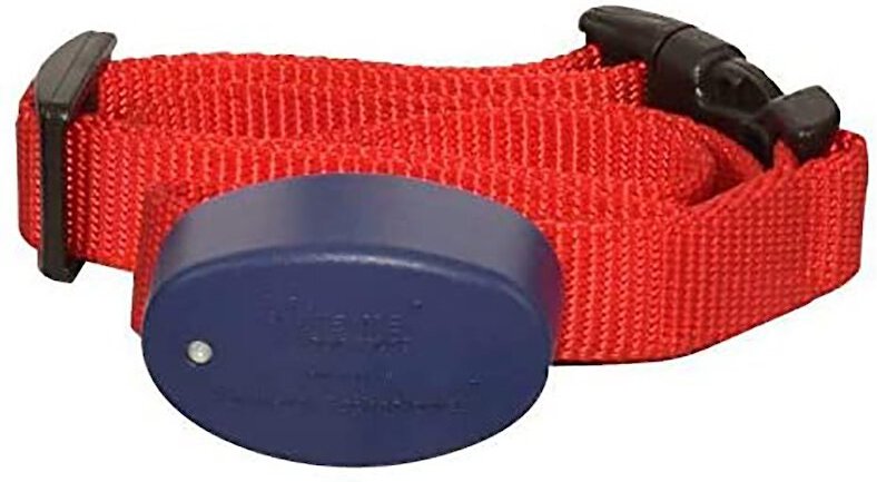 Extreme dog hotsell fence collar battery