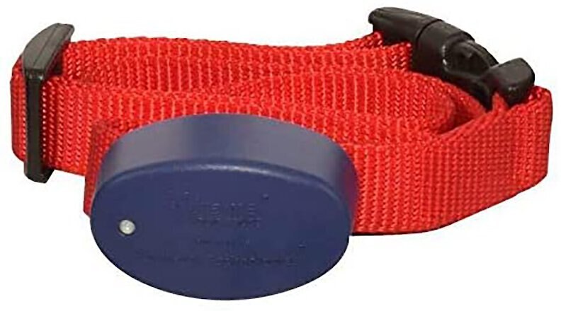 Extreme dog 2024 fence collar