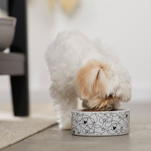 The 13 Best Dog Bowls of 2024