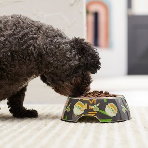 10 Best Dog Bowls Dishes 2024 According to Reviews Chewy