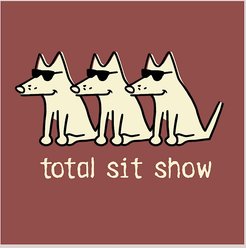 Teddy the Dog Total Sit Show Classic T-Shirt, Crimson, Small slide 2 of 2
