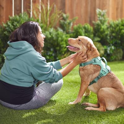 Show full view: Frisco Comfort Padded Dog Harness, Malachite Green, Extra Large slide 5 of 7