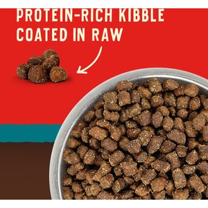 10 Best Raw Dry Dog Food 2024: According to Reviews | Chewy