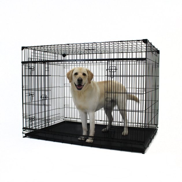 LUCKY DOG Sliding Double Door Wire Dog Crate, 54 inch