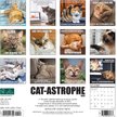 Cat-Astrophe 2021 Wall Calendar