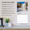 Cat-Astrophe 2018 Wall Calendar