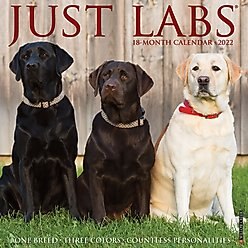 Just Labs 2022 Wall Calendar