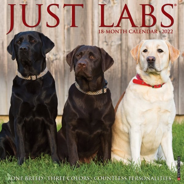 Labs 2022 Box Calendar