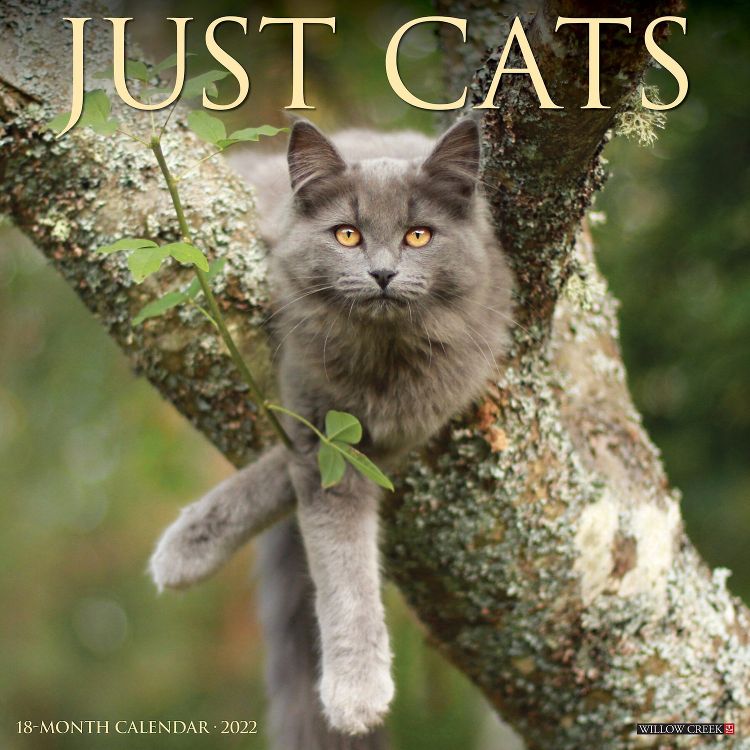 Just Kittens 2022 Wall Calendar