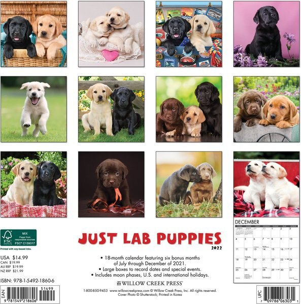 Just Labs 2021 Wall Calendar