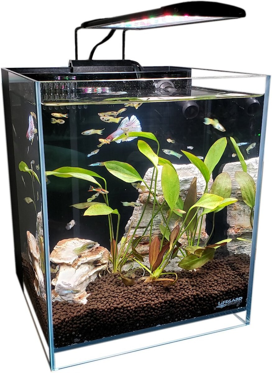 LIFEGARD AQUATICS Full Spectrum Led Light with Mounting Bracket, Black