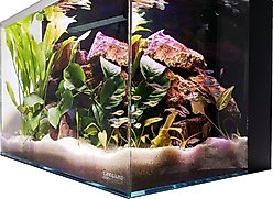 Lifegard Aquatics Crystal Aquarium with Back Filter, 9.98-gal slide 2 of 6