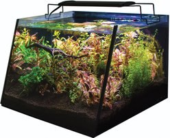 Lifegard Aquatics Full View Aquarium Kit with Submersible Filter, 5-gal