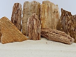 Lifegard Aquatics Burma Petrified Stone 25 Gallon Kit slide 2 of 4