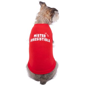 Frisco Mister Irresistible Dog & Cat T-Shirt