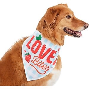 Frisco Love Bites Dog & Cat Bandana, X-Small/Small