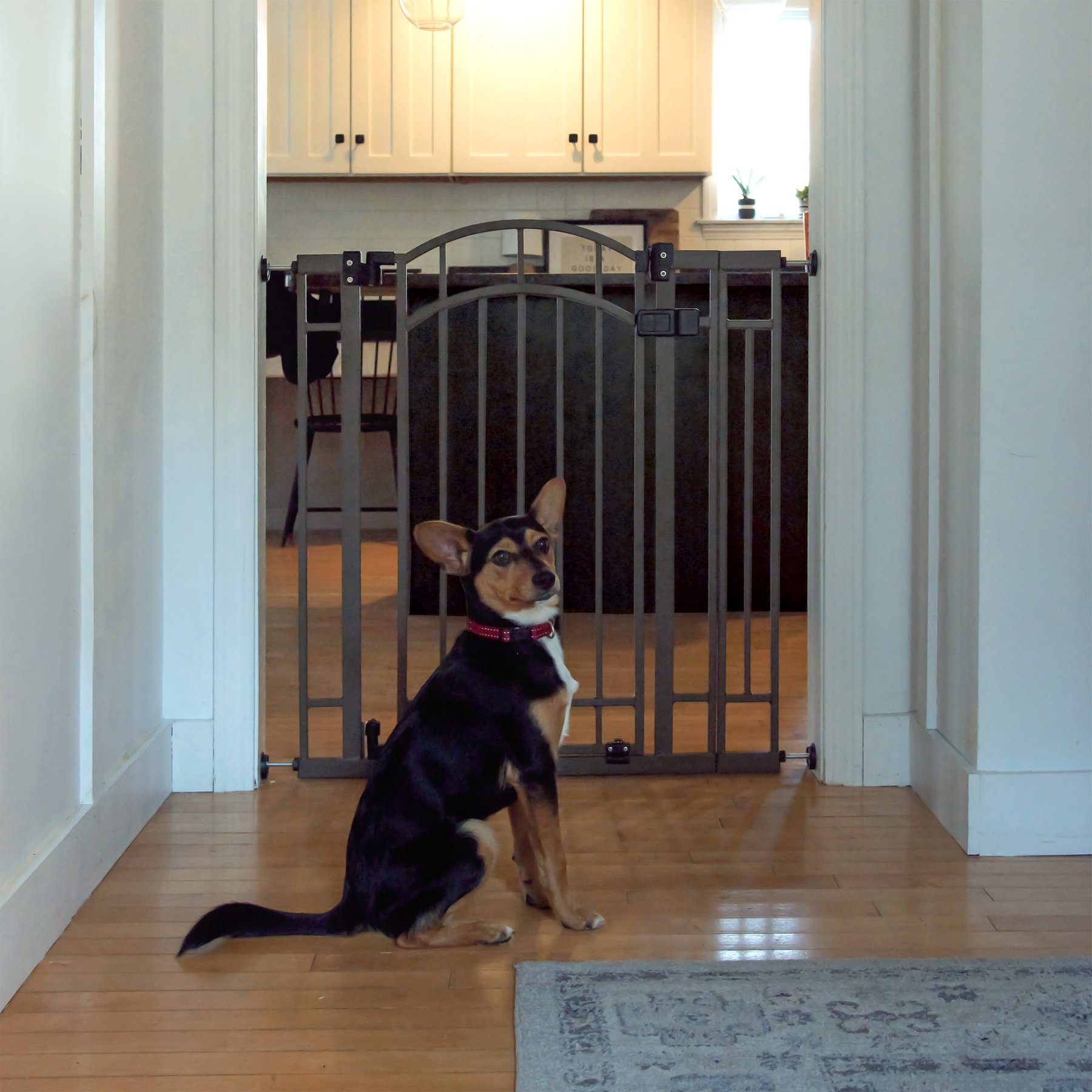 Summer by Ingenuity Multi-Use Decorative Extra Tall Walk-Thru Dog Gate, Bronze