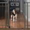Show in main carousel: Summer by Ingenuity Multi-Use Decorative Extra Tall Walk-Thru Dog Gate, Bronze slide 5 of 7