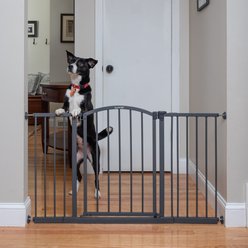 Summer Decor Safety Dog Gate, 27-in