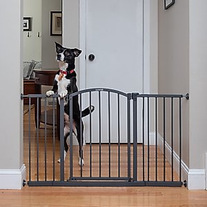 Summer Decor Safety Dog Gate, 27-in