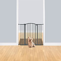 Summer by Ingenuity Decor Safety Dog Gate, 36-in