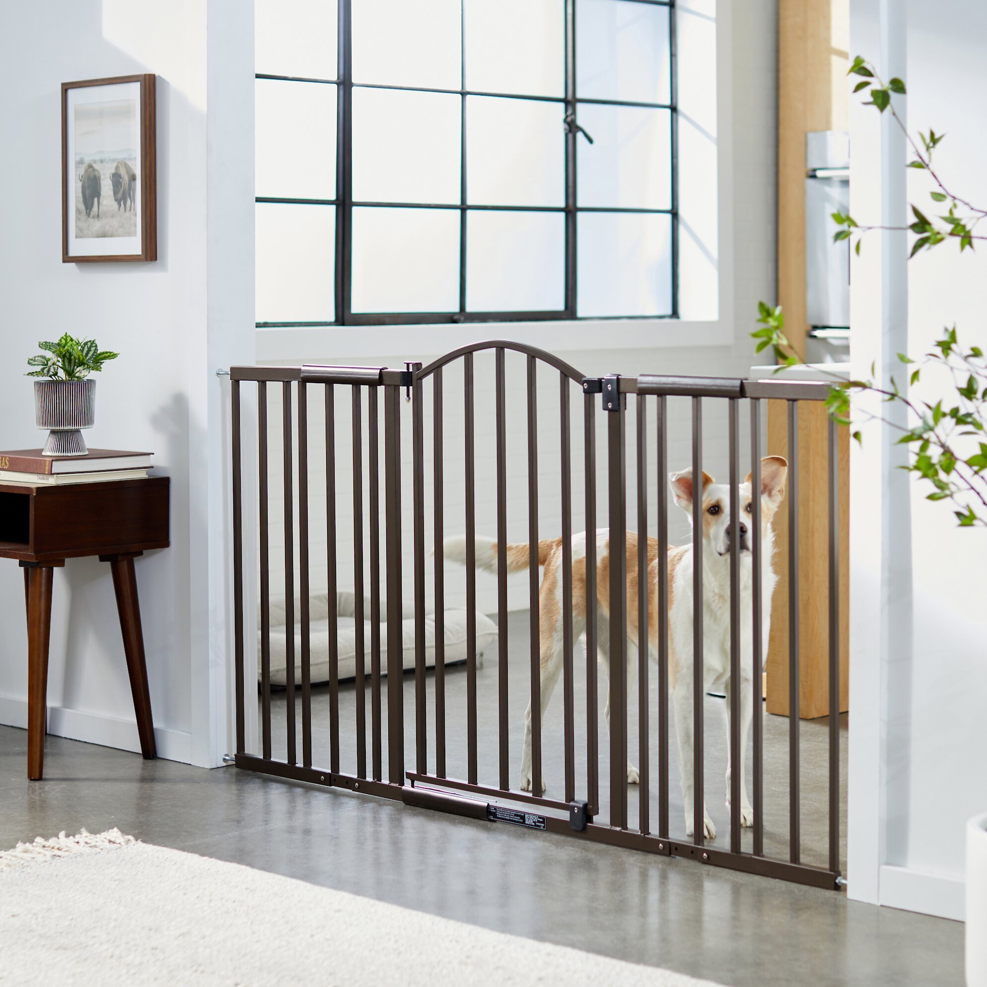 SUMMER Metal Expansion Walk-Thru Dog Gate Customer Questions - Chewy.com