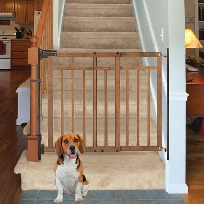 SUMMER BY INGENUITY Banister Stair Dog Gate Dual