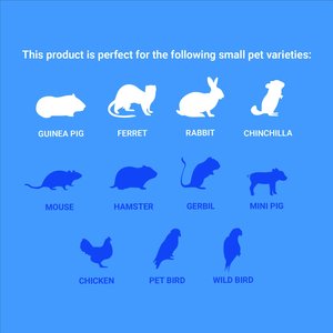 Frisco Small Pet Habitat, Large