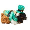 Frisco Guinea Pig St. Patrick's Day Costume, Green