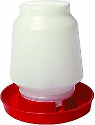 Little Giant Complete Plastic Poultry Fount, 1-gal