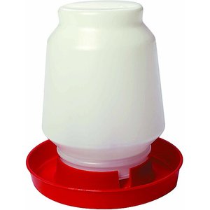 Little Giant Complete Plastic Poultry Fount, 1-gal