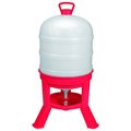 Little Giant Dome Poultry Waterer, 10-gal