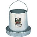 Little Giant Hanging Metal Poultry Feeder, 12-lb