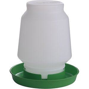 Little Giant Plastic Poultry Fount, 1-gal, Lime Green