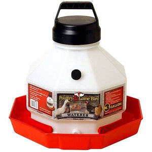 Little Giant Plastic Poultry Fount, 3-gal