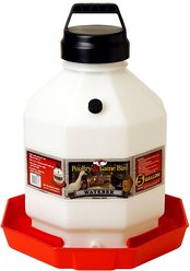 Little Giant Poultry Waterer, 5-gal