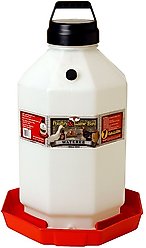 Little Giant Poultry Waterer, 7-gal
