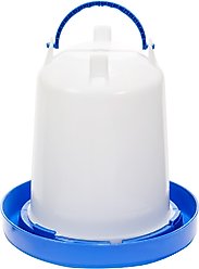 Little Giant Poultry Waterer, 3.5-qt