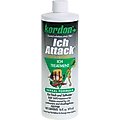 Kordon Ich Attack Aquarium Ich Treatment, 16-oz bottle