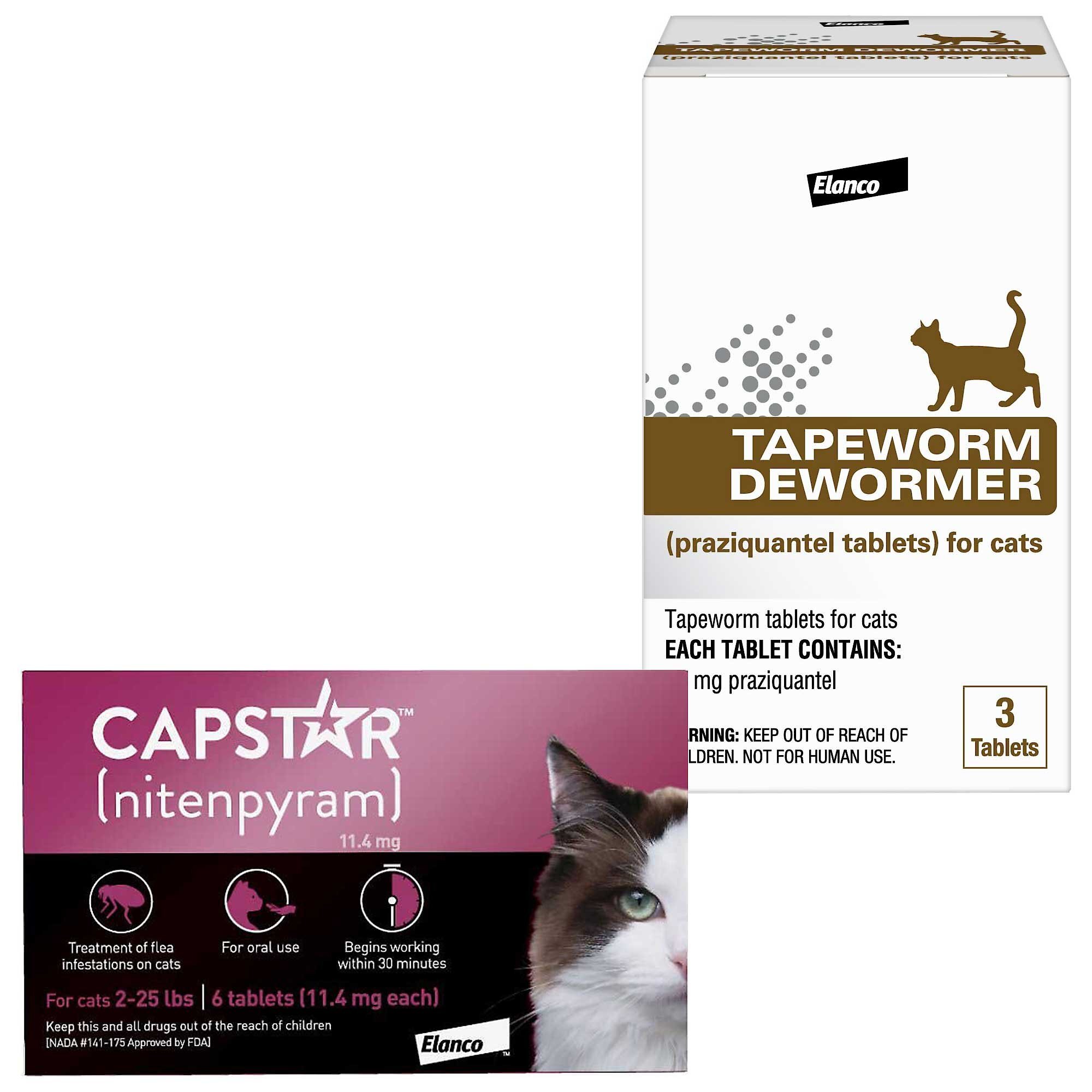 Flea and tapeworm treatment for outlet cats