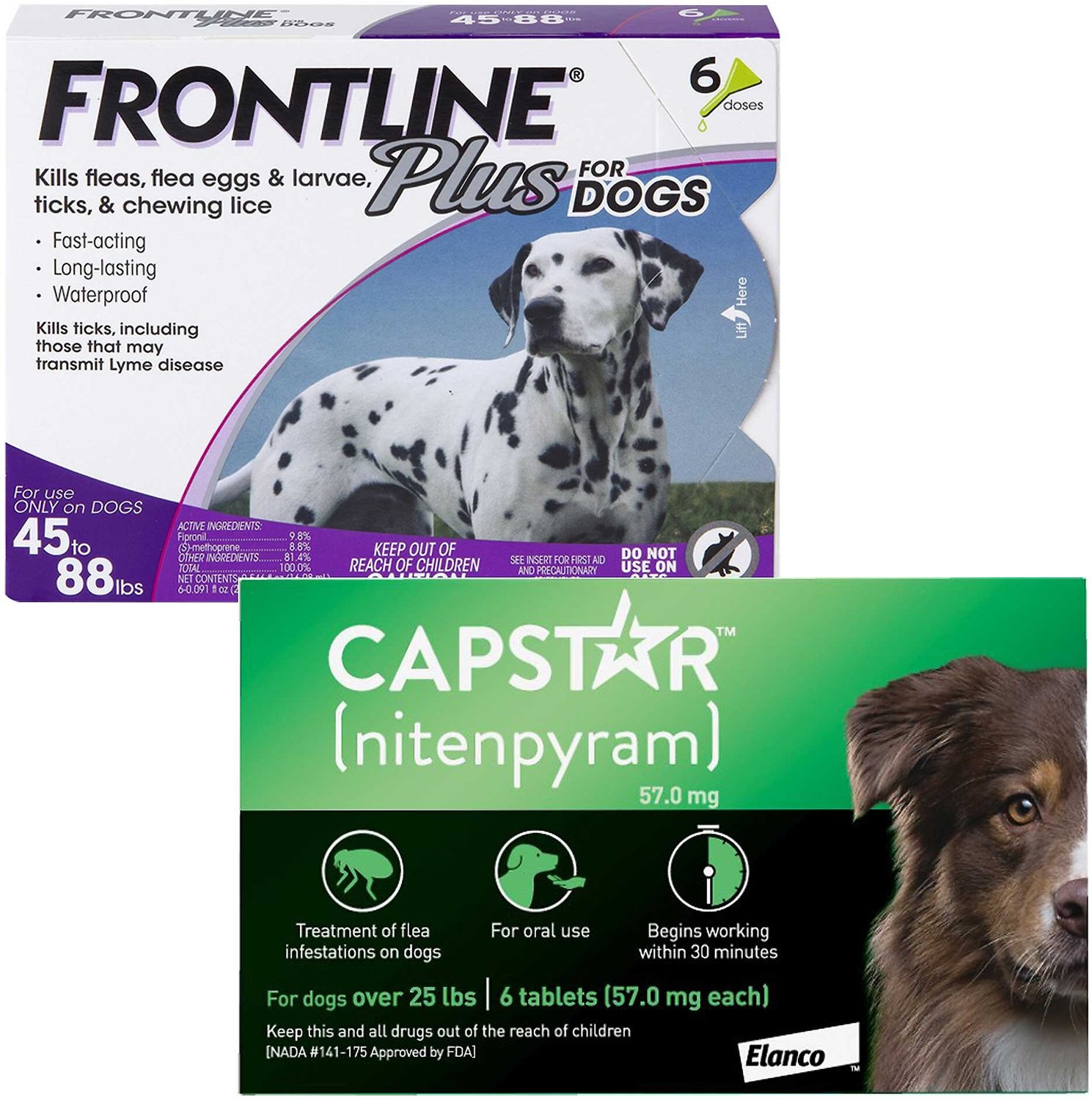 Capstar Flea Oral Treatment, over 25-lbs + Frontline Plus Flea & Tick Spot Treatment for Large 