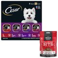 Cesar Classic Loaf in Sauce Beef Recipe, Filet Mignon, Grilled Chicken, & Porterhouse Steak Flavors Food Trays + American Journey Beef Recipe Grain-Free Soft & Chewy Training Bits Dog Treats