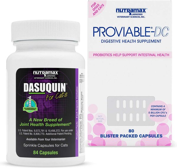 Nutramax Dasuquin Joint Health + Proviable-DC Capsules Cat Supplement slide 1 of 9