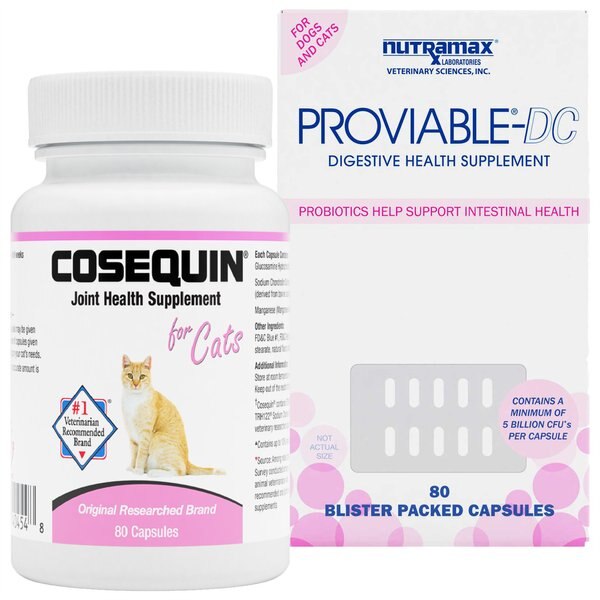 Nutramax Proviable-DC + Cosequin Capsules Joint Health Cat Supplement slide 1 of 9