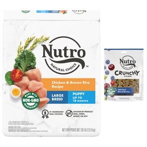 Nutro Natural Choice Large Breed Puppy Chicken & Brown Rice Recipe Dry Food + Crunchy with Real Mixed Berries Dog Treats