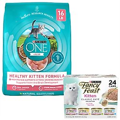 Purina ONE Healthy Kitten Formula Dry Food + Fancy Feast Tender Feast Canned Kitten Food