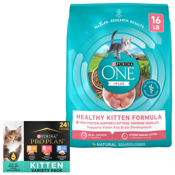 Purina ONE Healthy Kitten Formula Dry Food + Pro Plan FOCUS Kitten Favorites Wet Kitten Food slide 1 of 9