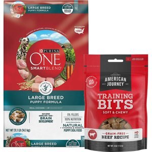 Purina ONE SmartBlend Large Breed Puppy Formula Dry Food + American Journey Beef Recipe Grain-Free Soft & Chewy Training Bits Dog Treats