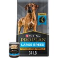 Purina Pro Plan Adult Large Breed Chicken & Rice Formula Dry Food, 34-lb bag + Focus Chicken & Rice Entree Chunks in Gravy Canned Dog Food